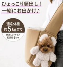 スリーコインズ　顔出しベアバック