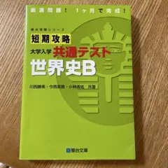 2026年最新】駿台テキスト世界史の人気アイテム - メルカリ