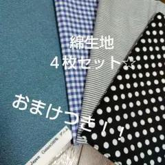 d*i様 お値下げ！新品☆綿生地４枚セット　X