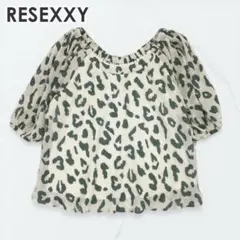 RESEXXY リゼクシー パワショルUネックブラウス ライトミックスのサムネイル