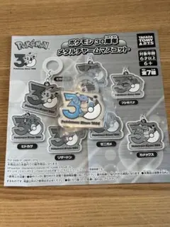 ポケモン　30周年　メタルチャームマスコット　カメックス