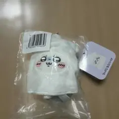 モモンガ　たこイカくじD賞