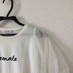 Item thumbnail for item f2c2a6d0-7116-4de1-8b37-b50a2f044b94