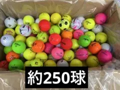 ゴルフボール ロストボール 250球