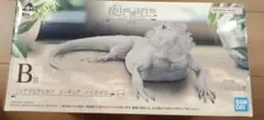 一番くじ　爬虫類&両生類　B賞 フトアゴヒゲトカゲ　フィギュア