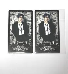 チャンビン スペシャルトレカ スキズ dominATE ワルツ ソウル 韓国