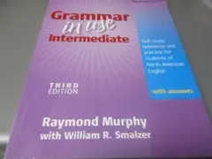 Grammar in Use Intermediate