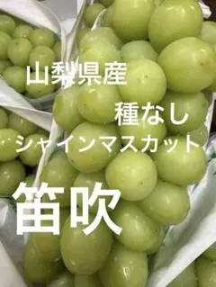 シャインマスカット 秀品5房 3キロ 山梨県 JAふえふき - メルカリ