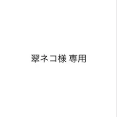 専用出品