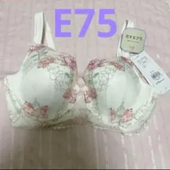 トリンプ　E75 恋するブラ　ホワイト　ブラジャー