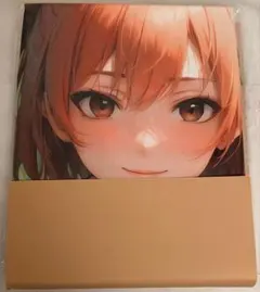 両面クッションカバー ハマチ ガハマ 由比ヶ浜結衣調 90×45cm 新品未開封