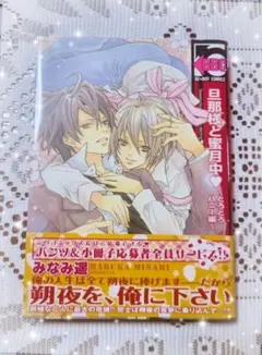 ✨旦那様と蜜月中 南原みなみ BL コミック✨