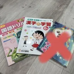 6年　漢字ドリル　国語ドリル　2冊のサムネイル