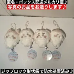 ちいかわ ぬいぱれっと～ミルクいろ～ マスコット①