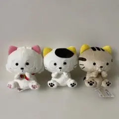 タマ&フレンズ ぬいぐるみ 5点 2025年最新】タマ フレンズ ぬいぐるみの人気アイテム - メルカリ