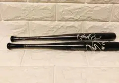 Item thumbnail for item a7989df0-6876-40d0-84ec-78511d74cc33