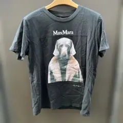 貴重サイズ　MaxMara マックスマーラ　犬　ドッグプリント Tシャツ　XLのサムネイル