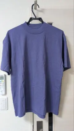 Hanes ヘインズ Biotop ビオトープ別注 Tシャツ 半袖カットソーのサムネイル