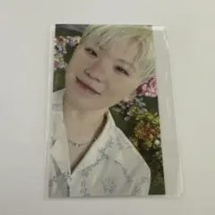 SEVENTEEN SECTOR17 店舗特典 トレカ ウジ