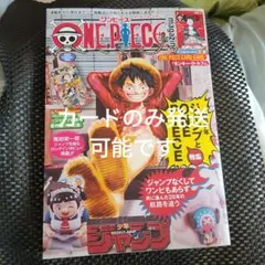 ワンピースマガジン(カードのみ発送可能)