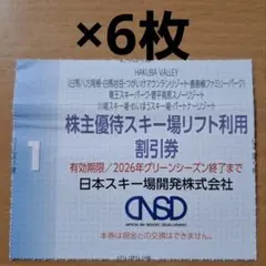 リフト券 スキー場