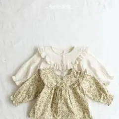 Item thumbnail for item 0678d60d-5c4f-4506-8599-64299af75764