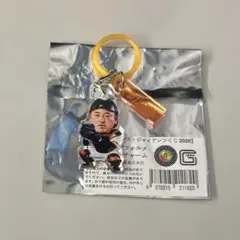 読売ジャイアンツ 岸田行倫選手 オータムチャンスジャイアンツくじ 10等チャーム