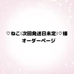 ♡ねこ꒰次回発送日未定꒱♡様 オーダーページ