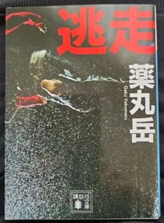 薬丸岳 　逃走
