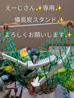 備長炭止まり木⭐️パーチ⭐️止まり木⭐️専用です(*゜∀゜*) - メルカリ