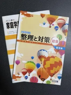 整理と対策 社会