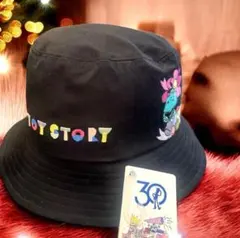 Disney Store♡ トイ・ストーリー30周年刺繍ハット新品