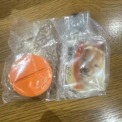 シバジロウ　ツナボーイ　ガチャガチャ