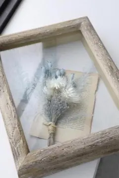 値引き ウッドフレーム ガラスケース アンティーク調 古道具調 インテリア雑貨