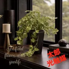 光触媒 観葉植物 ウォールグリーン フェイクグリーン シャイン
