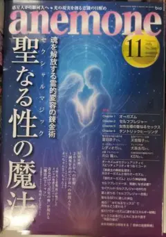 即購入◯anemone（アネモネ）2025年11月号　新品未使用