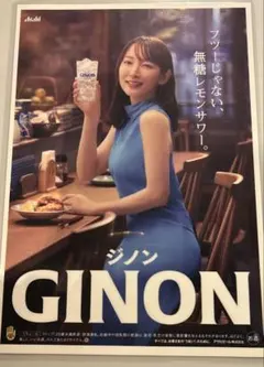 吉岡里帆アサヒGINON (ジノン) 『非売品』　A4サイズのサムネイル