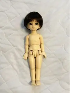 2026年最新】SD ドール 本体の人気アイテム - メルカリ