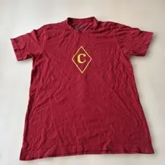 Black Diamond Tシャツ Mサイズ オーガニックコットンのサムネイル