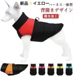 Item thumbnail for item 13770dc1-e138-4bb1-ad2c-e64258f5dd03