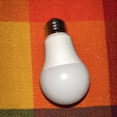 白色の明るいLED電球