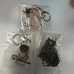 ブルーロック RE:SHAZAM黒ねこ意匠 糸師凛 糸師冴 アクリル