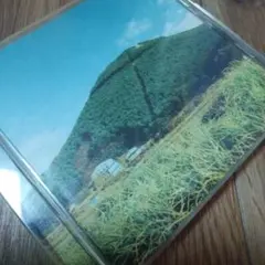 値下!美品!奥田民生 / 股旅