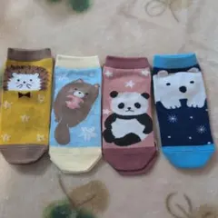 スニーカー丈ソックス 19〜25cm