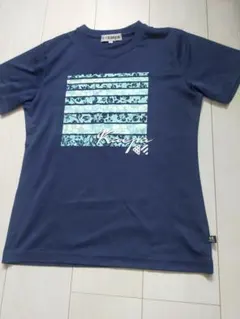 Item thumbnail for item 31f3f38c-81bc-42e2-87e3-ca219087f080