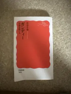 ガンディー 平和を紡ぐ人 岩波新書