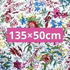 リバティ★liberty★輸入タナローン★デンドロビウム