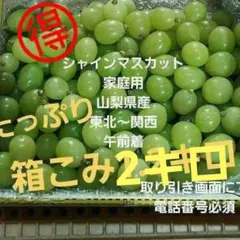 山梨県産 訳ありシャインマスカット粒 ダンボール込み約4キロになり