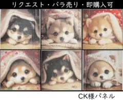 Item thumbnail for item 3b5f057c-1d4e-4691-bddc-e5f32736342a