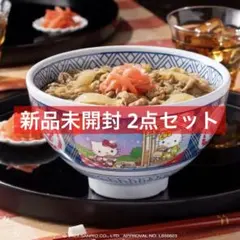 2個セット吉野家はろうきてぃ おうちで吉野家2025 オリジナル　どんぶり 2個セット吉野家はろうきてぃ おうちで吉野家2025 オリジナル